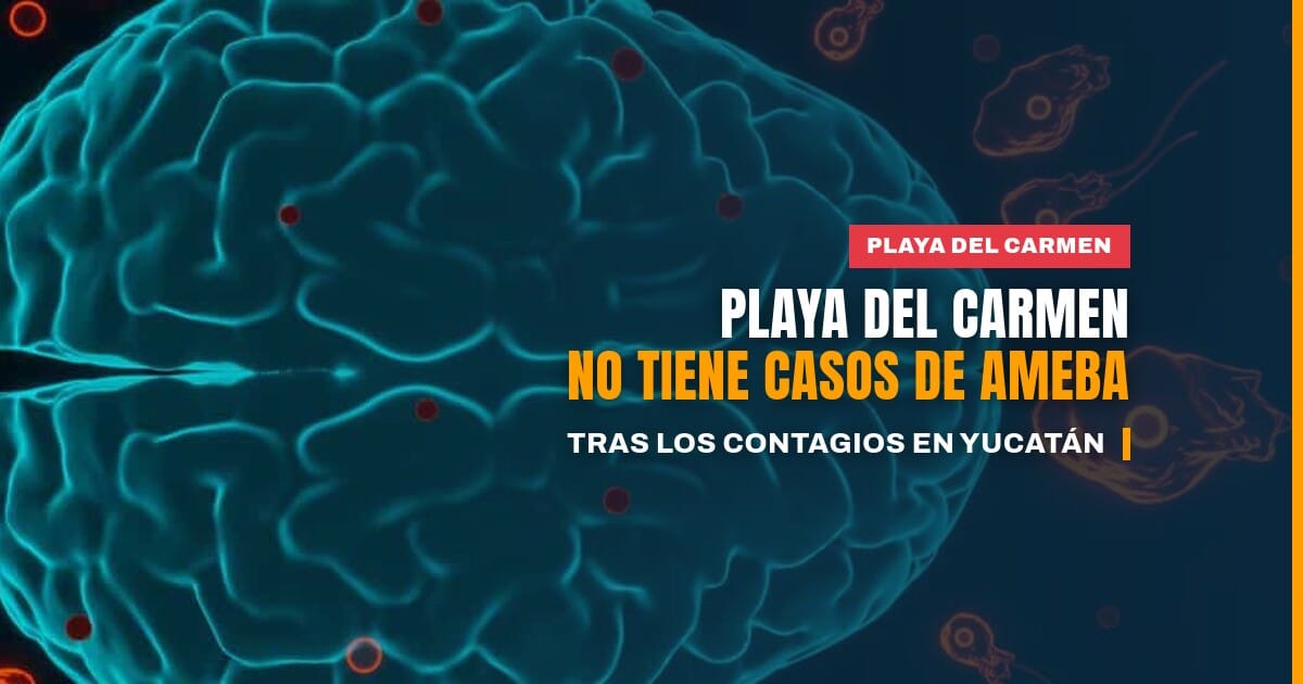 Autoridades de Salud informan sobre ameba en Playa del Carmen, donde no hay casos reportados
