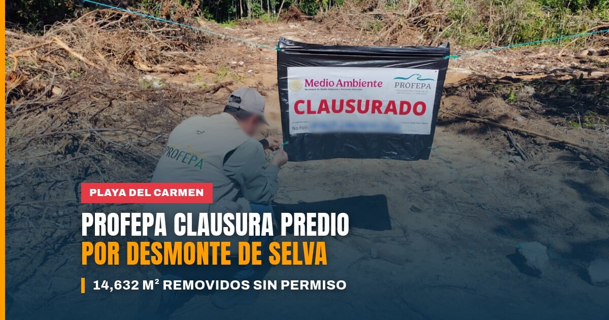 Predio con desmonte en Playa del Carmen clausurado por Profepa por remoción de selva mediana