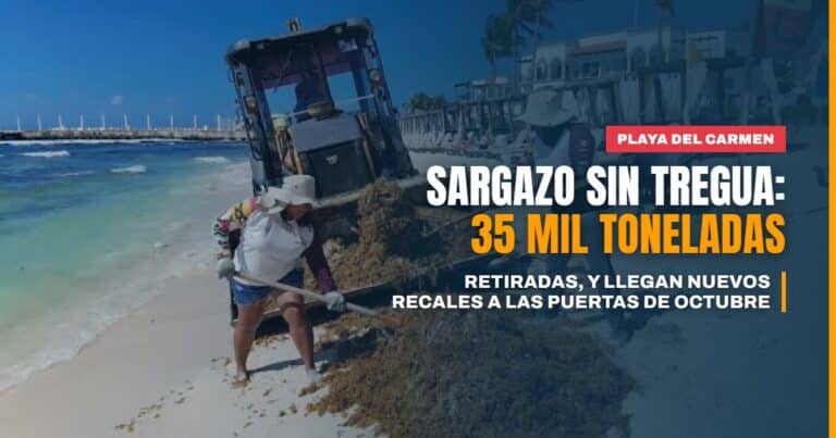 Sargazo no da tregua en Playa del Carmen: más de 35 mil toneladas retiradas y nuevos recales a las puertas de octubre